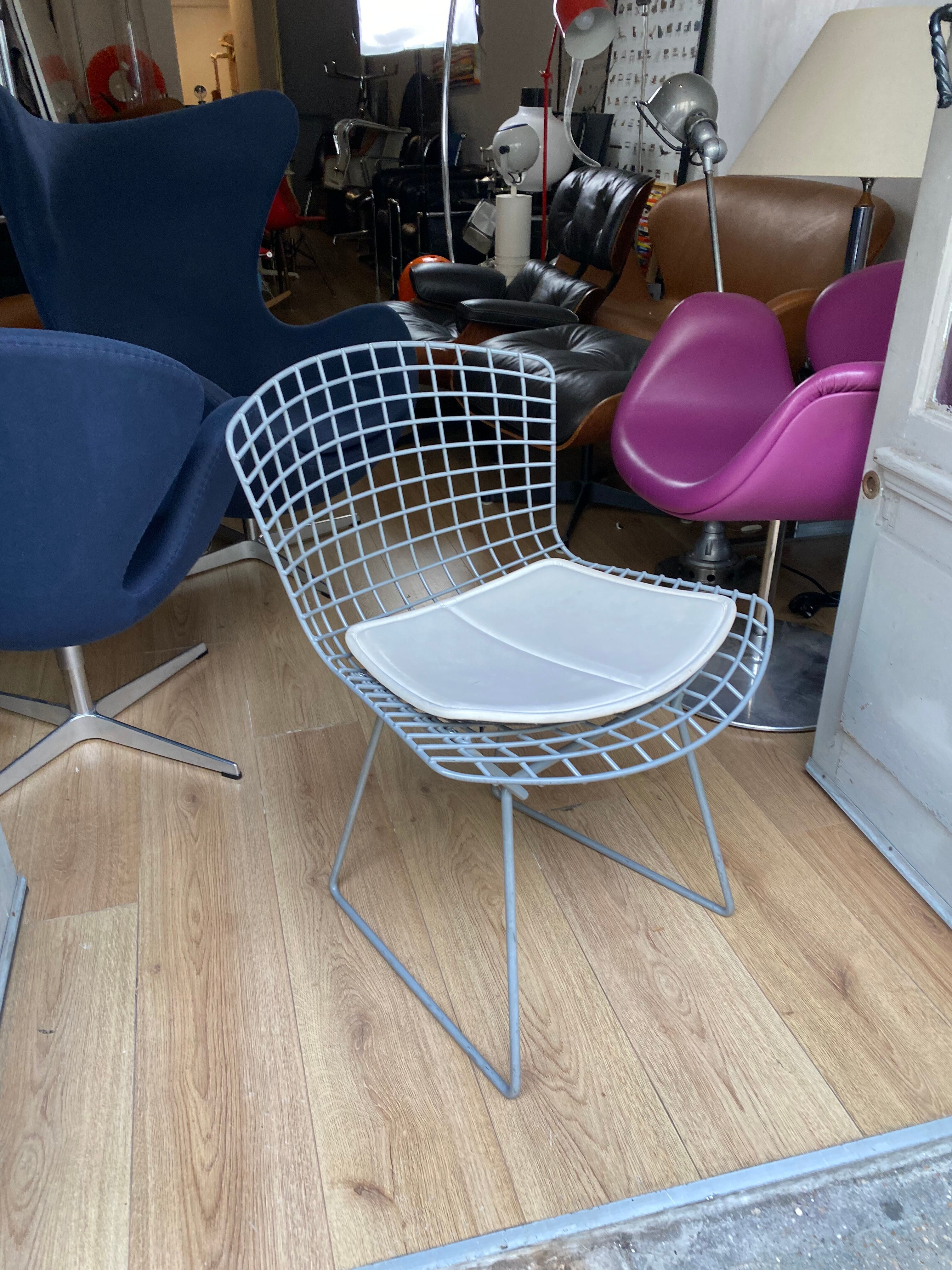 Chair Bertoia Rislan gray edition Knoll with white cake year 80