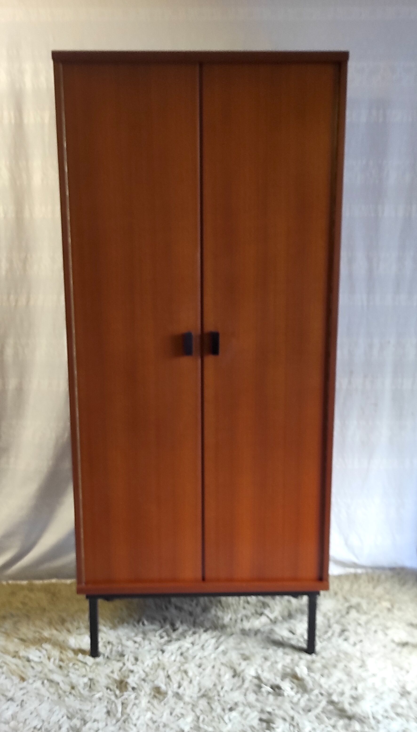 Modernist teak cabinet – 60s