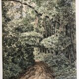 A path in the park of Saint Cloud, watercolor