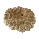 Big Pacific Pink Coral