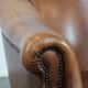 Sheepskin leather club chair with beautiful colours and comfortable seat