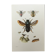 Illustration ancienne "Insectes", années 60