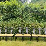 Japanese chairs