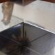 Table basse en acier modèle Tebe par Giovanni Offredi pour Saporiti, 1970