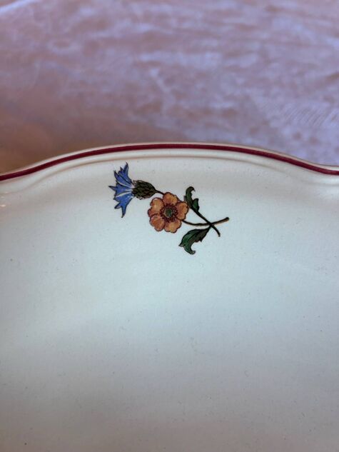 Large antique fine earthenware plate – Sarreguemines – Aigreste decoration