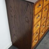 Dutch industrial apothecary cabinet in beech and oak 1940s