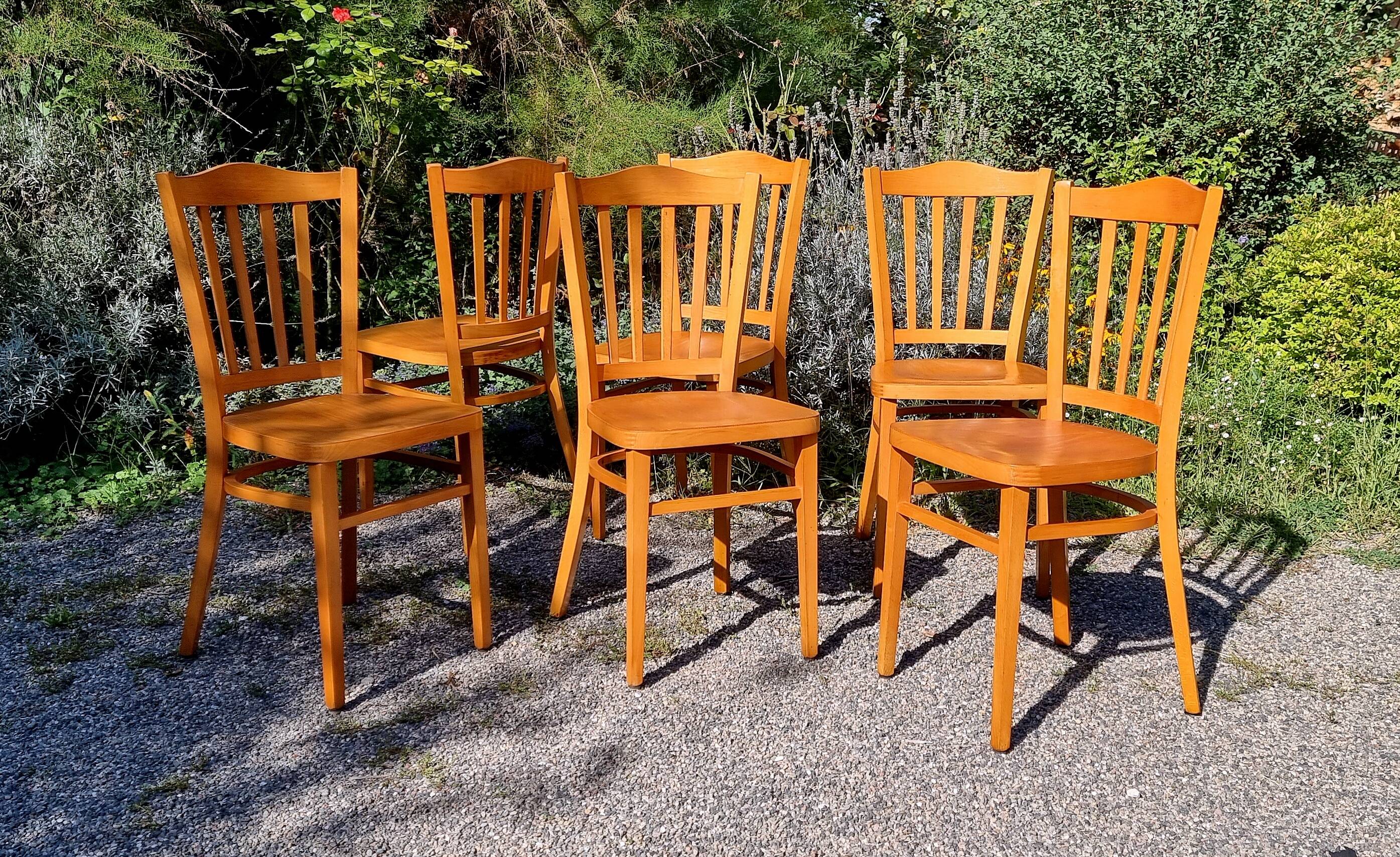 6 bistro chairs in curved beech from the 70s