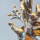 Lampe Corail par Maison Charles bronze