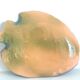 Zoomorphic fish dish in enamelled sandstone, signed EB