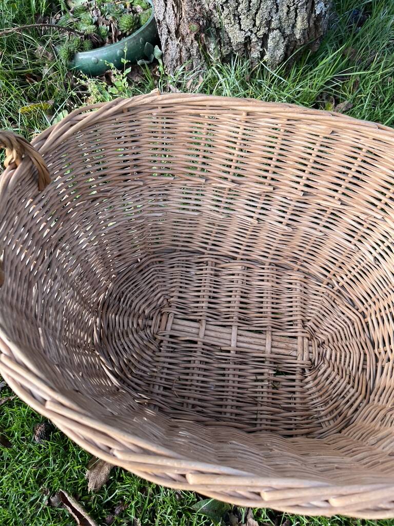 Wicker basket with handles