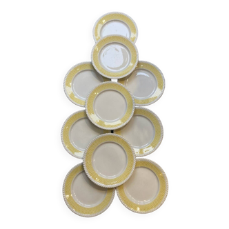 Dinner plates