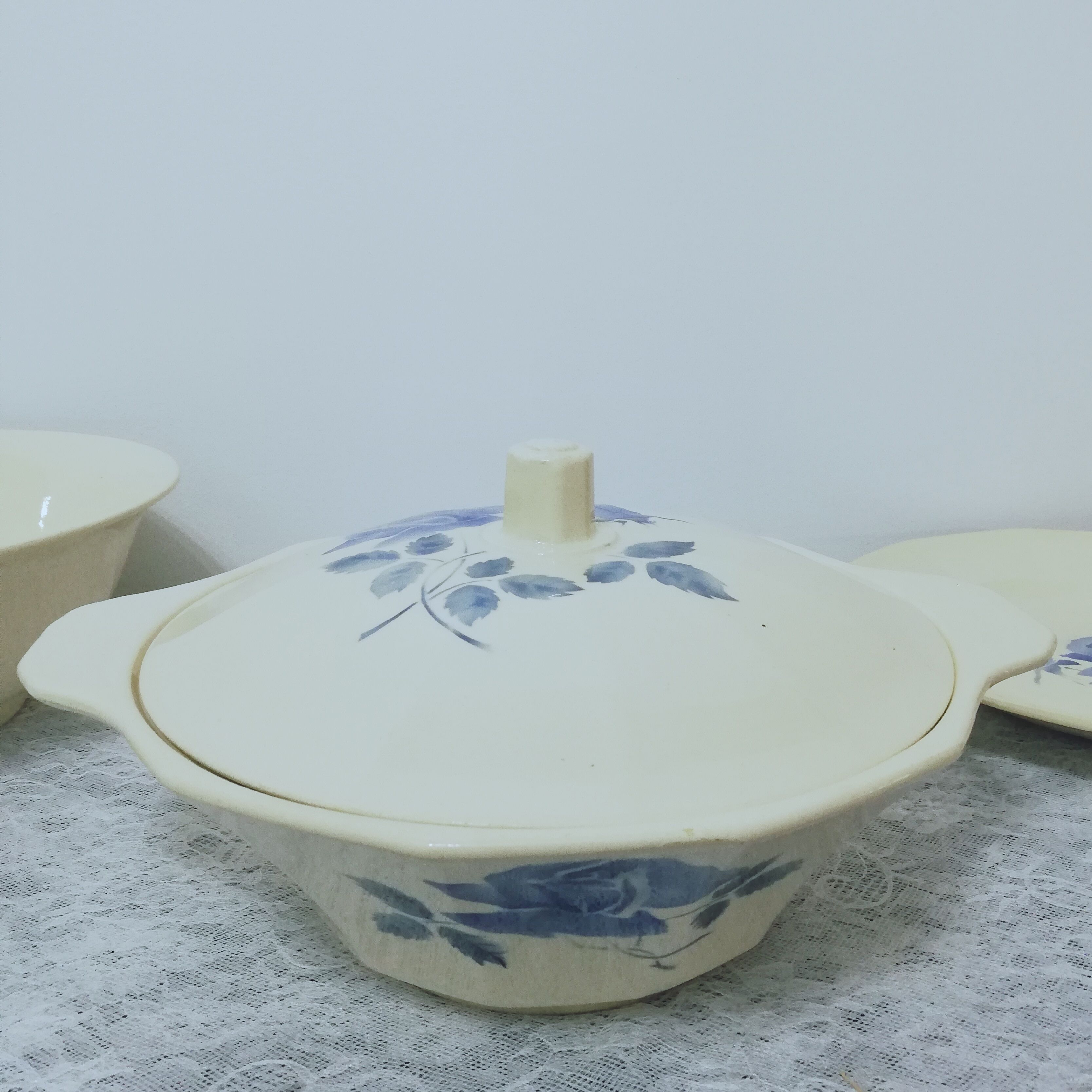 Service 24 pieces in iron earth Digoin Sarreguemines