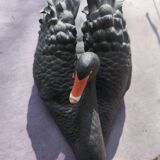 Cygne en porcelaine Franklin Mint