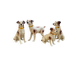 Series of ceramic dogs from Desvres