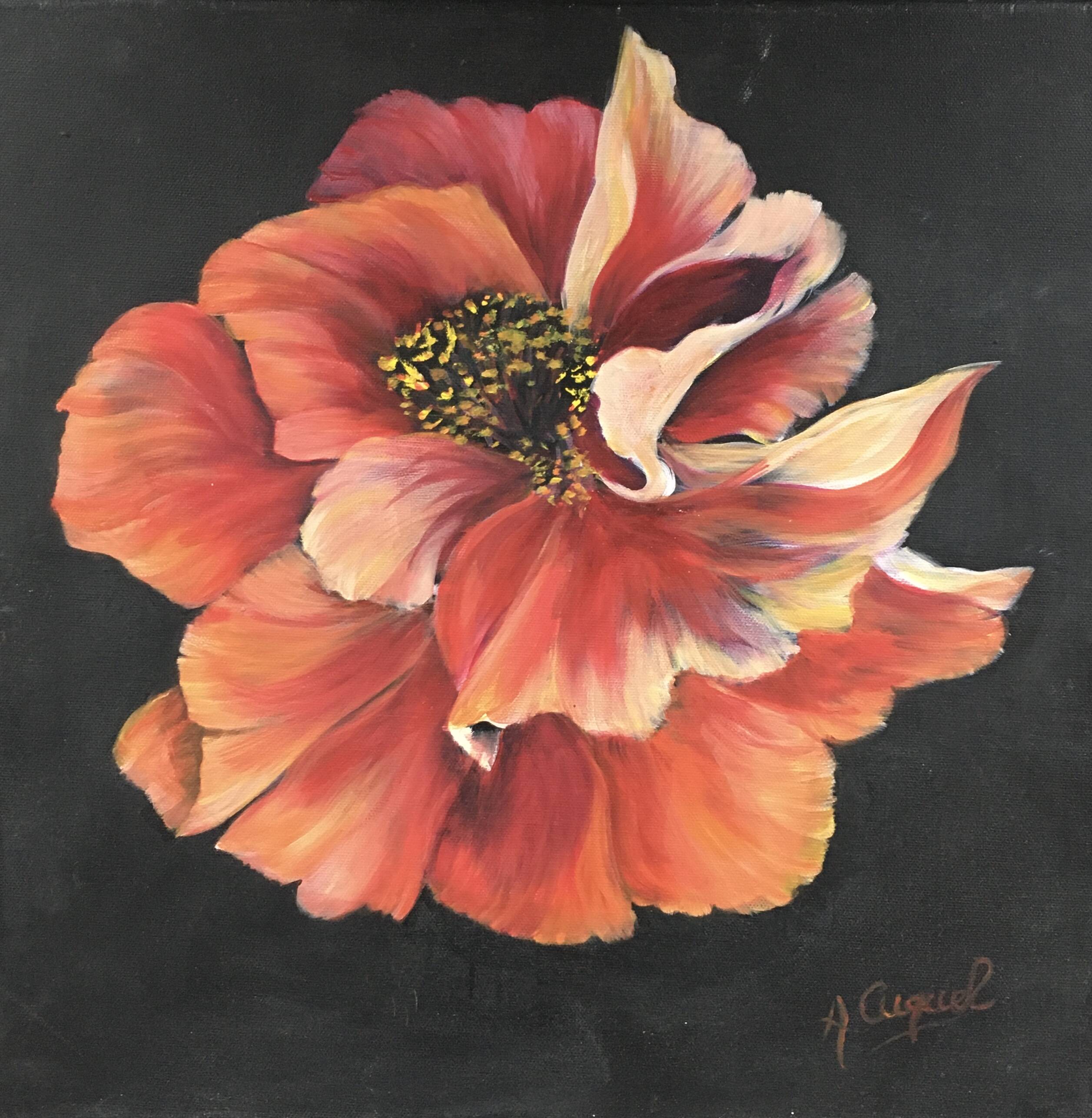 Pink peony painting on black background