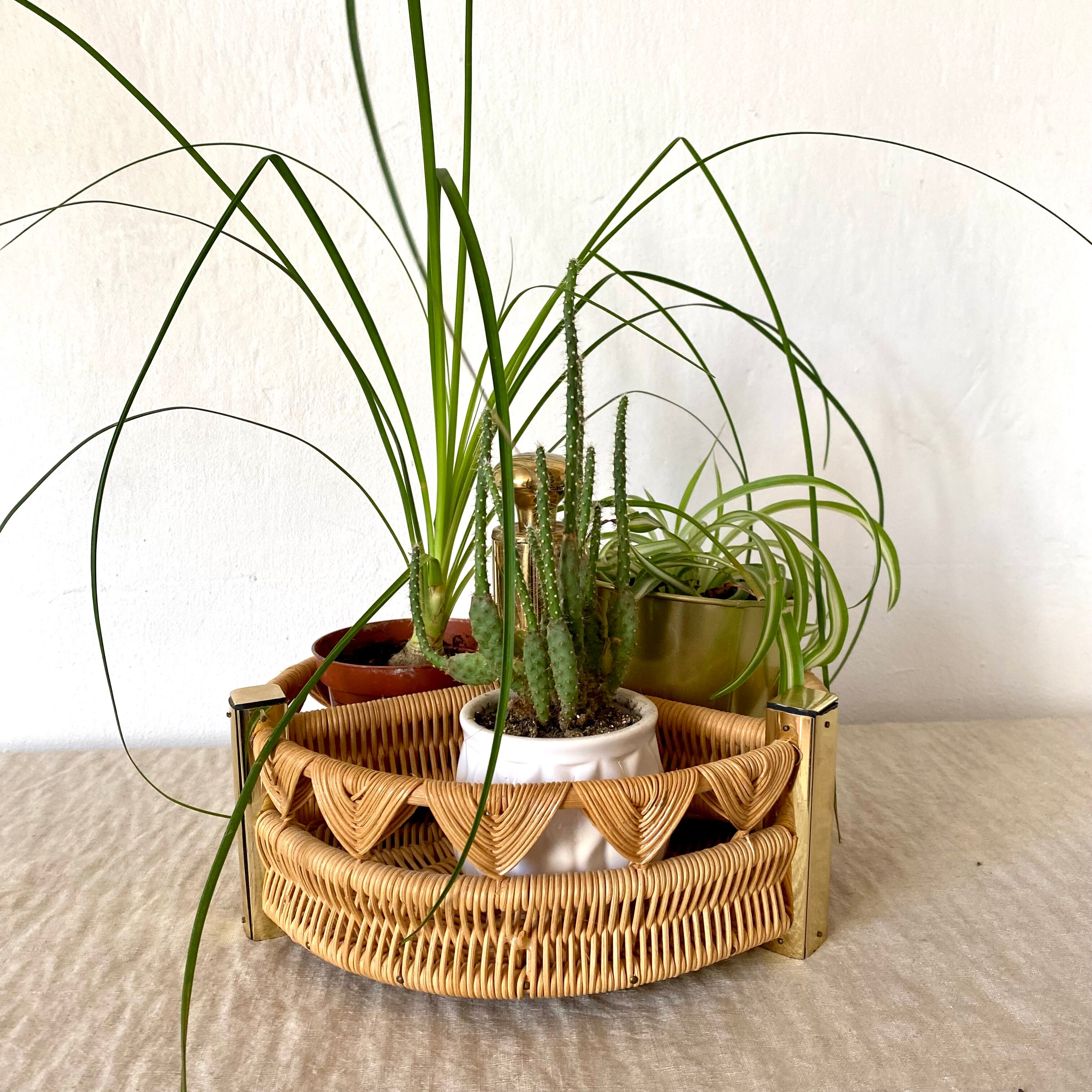 Porte bouteilles vintage , porte plantes en rotin tressé
