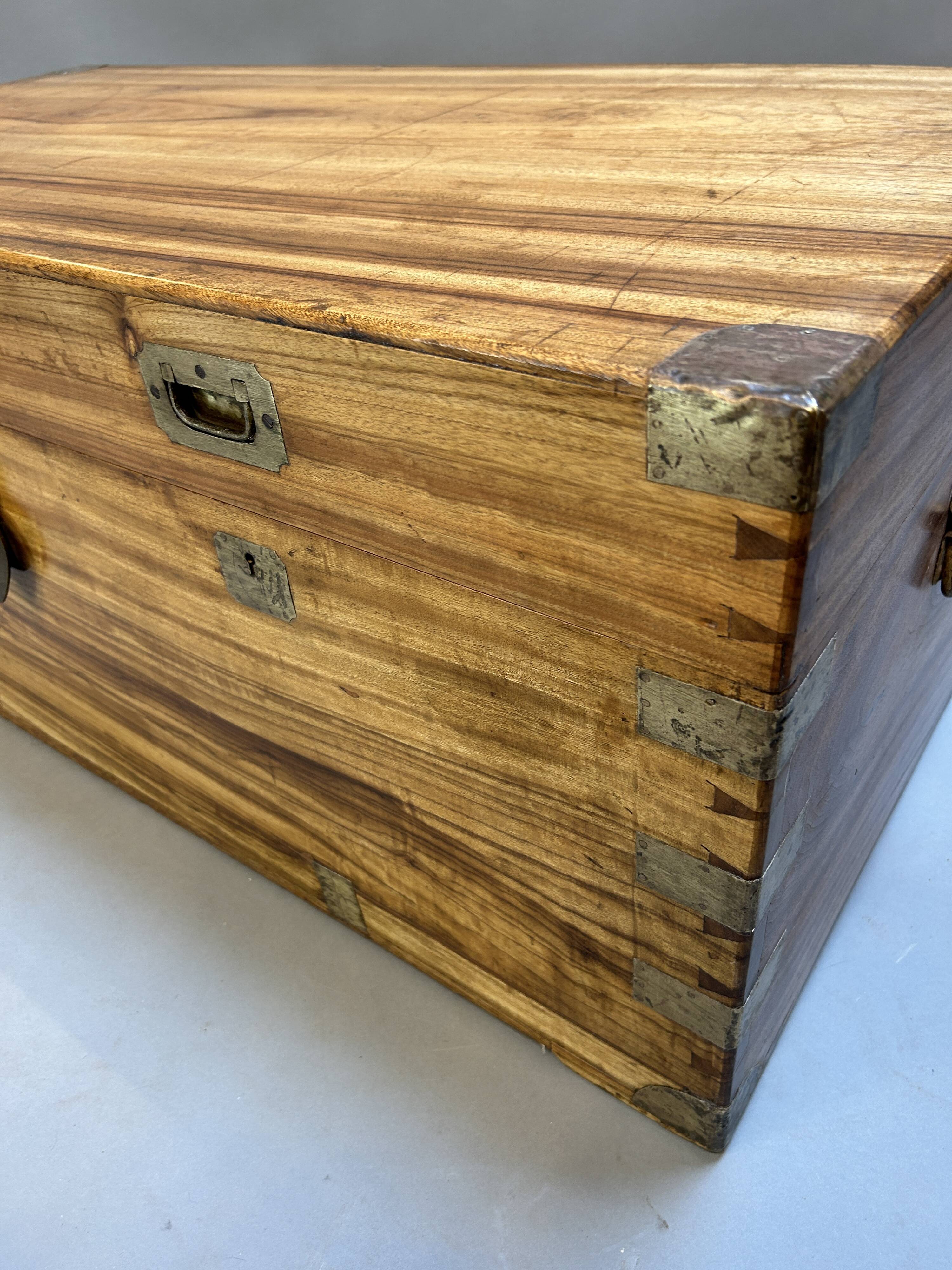 Campaign Camphor Trunk