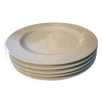 White dinner plates