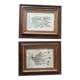 Plant engraving frame duo