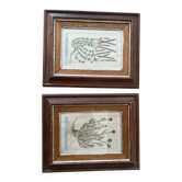 Plant engraving frame duo