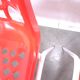 Set jaren 70 DDR rode kunststof tuinstoelen