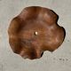 Very large wavy flat leaf suspension in smooth teak D:60