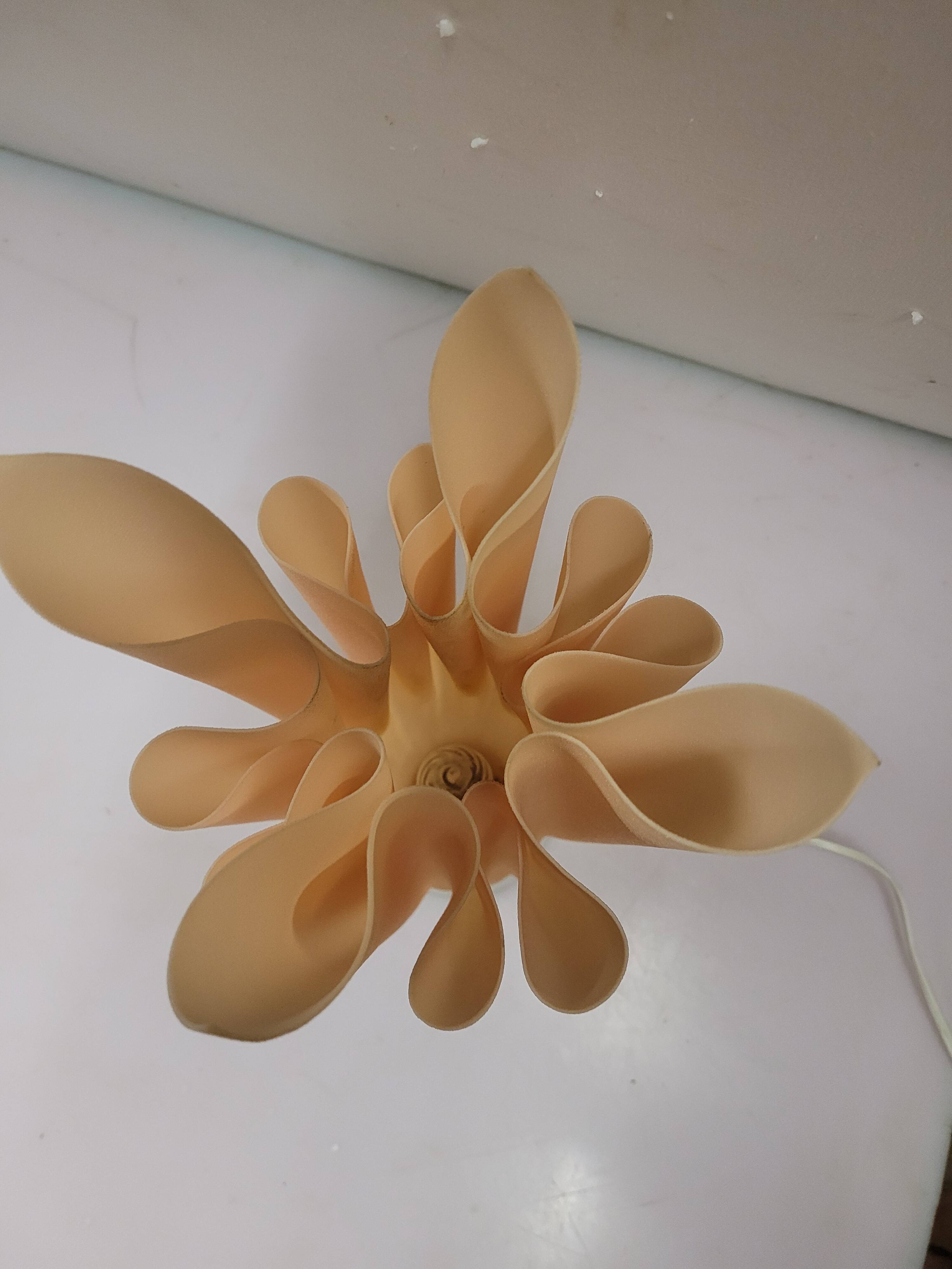 Georgia Jacob table lamp