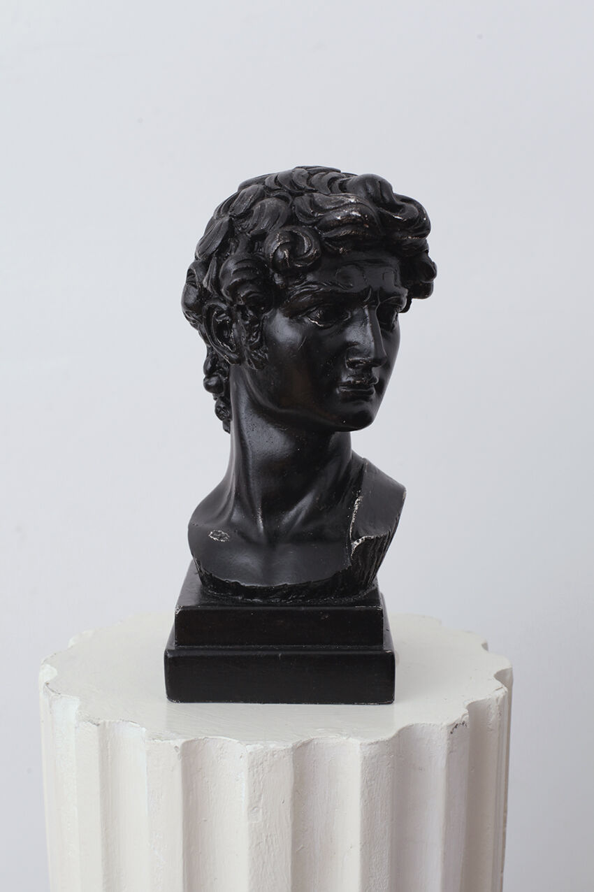 David head in black waxed plaster
