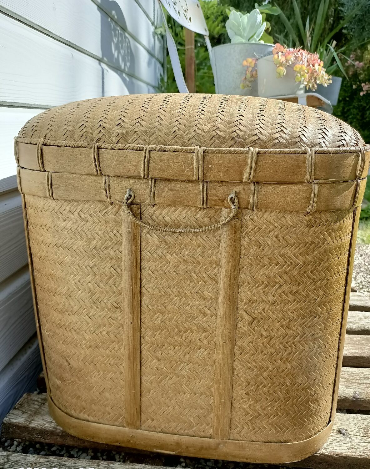 Old trunk rice straw