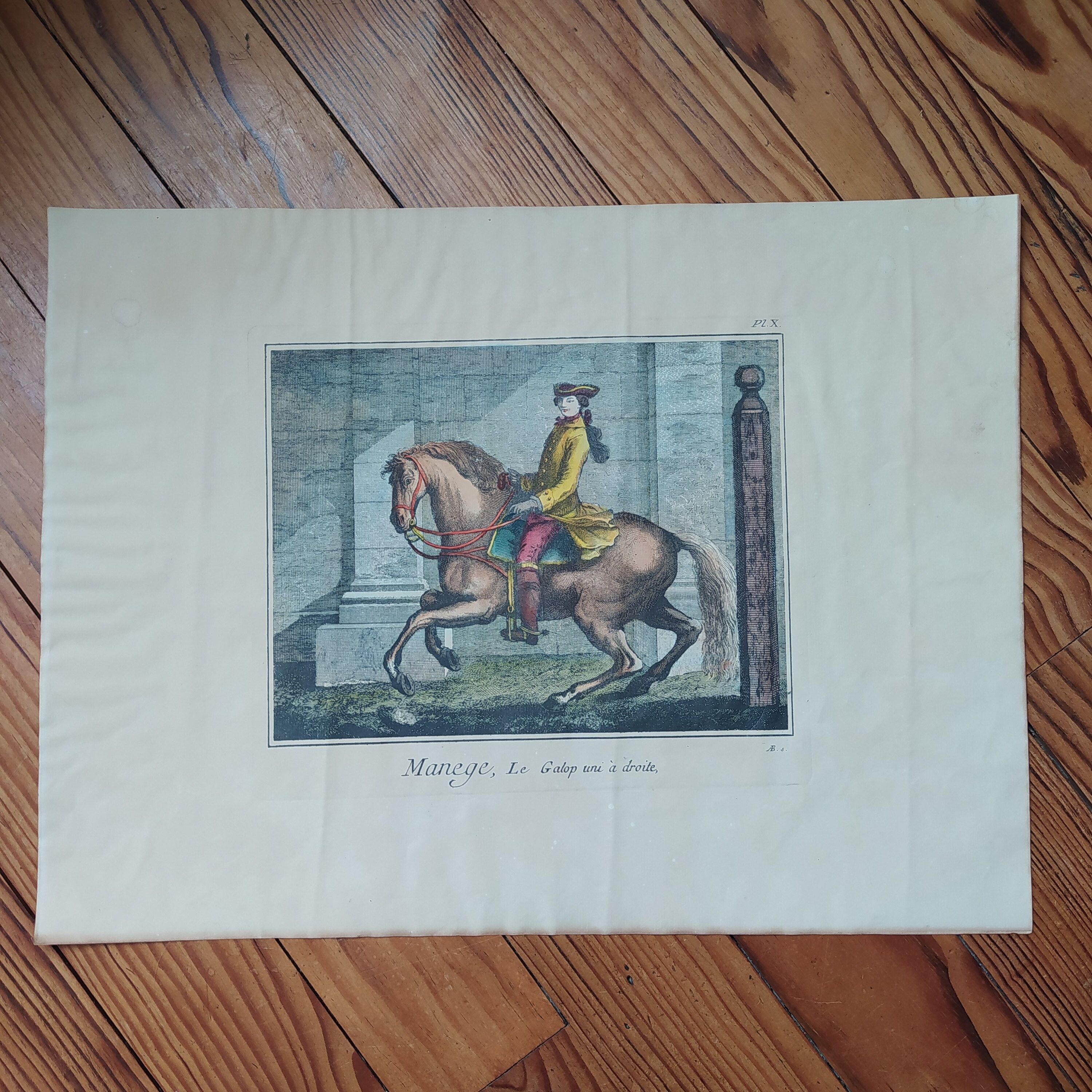 Antique equestrian engraving