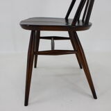 Set of 6 dining windsor chairs by Lucian Ercolani, italy, 1960