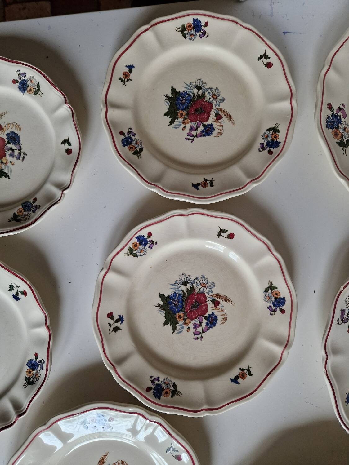 Set of 12 Sarreguemines Plates, Agreste Models