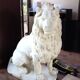 Le roi lion. en pierre 1m30 de haut 90 de long