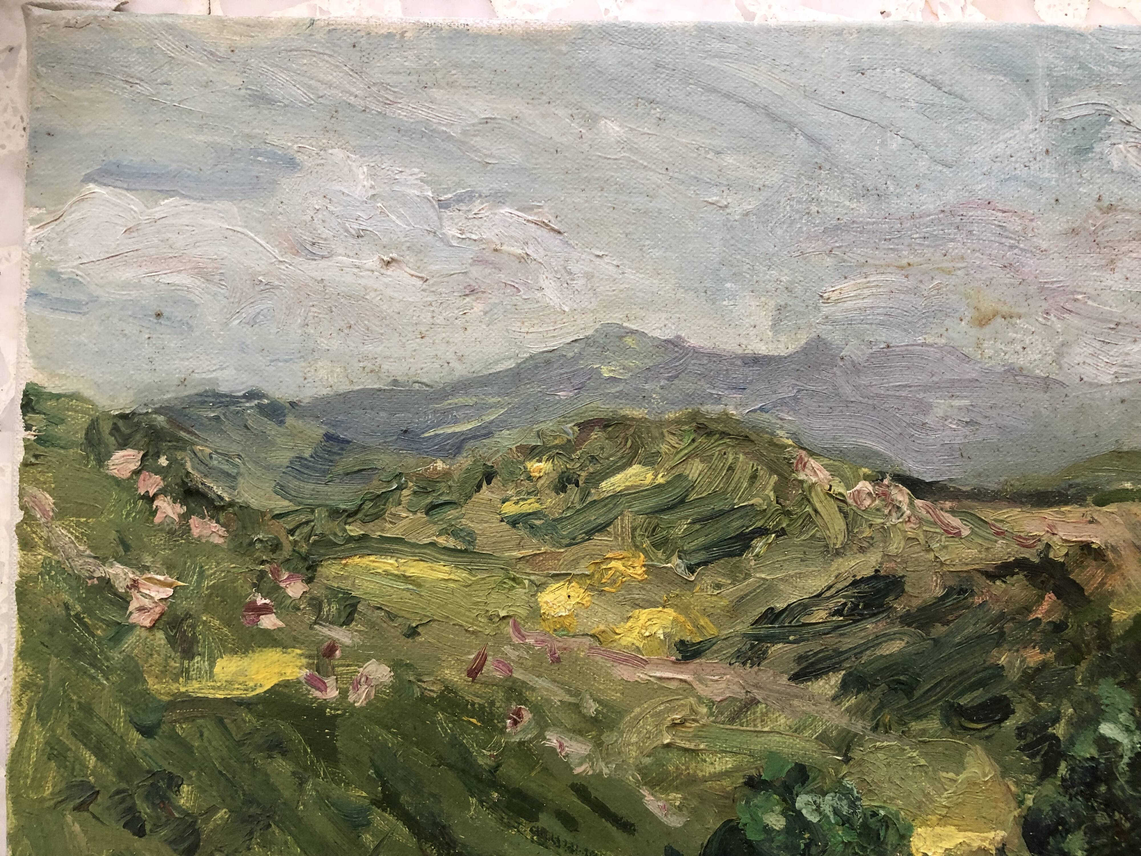 Oil on canvas pyrenees mountain landscape, signed a. baland 1988, unframed