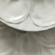Set of 6 oyster plates in porcelain by Pillivuyt.