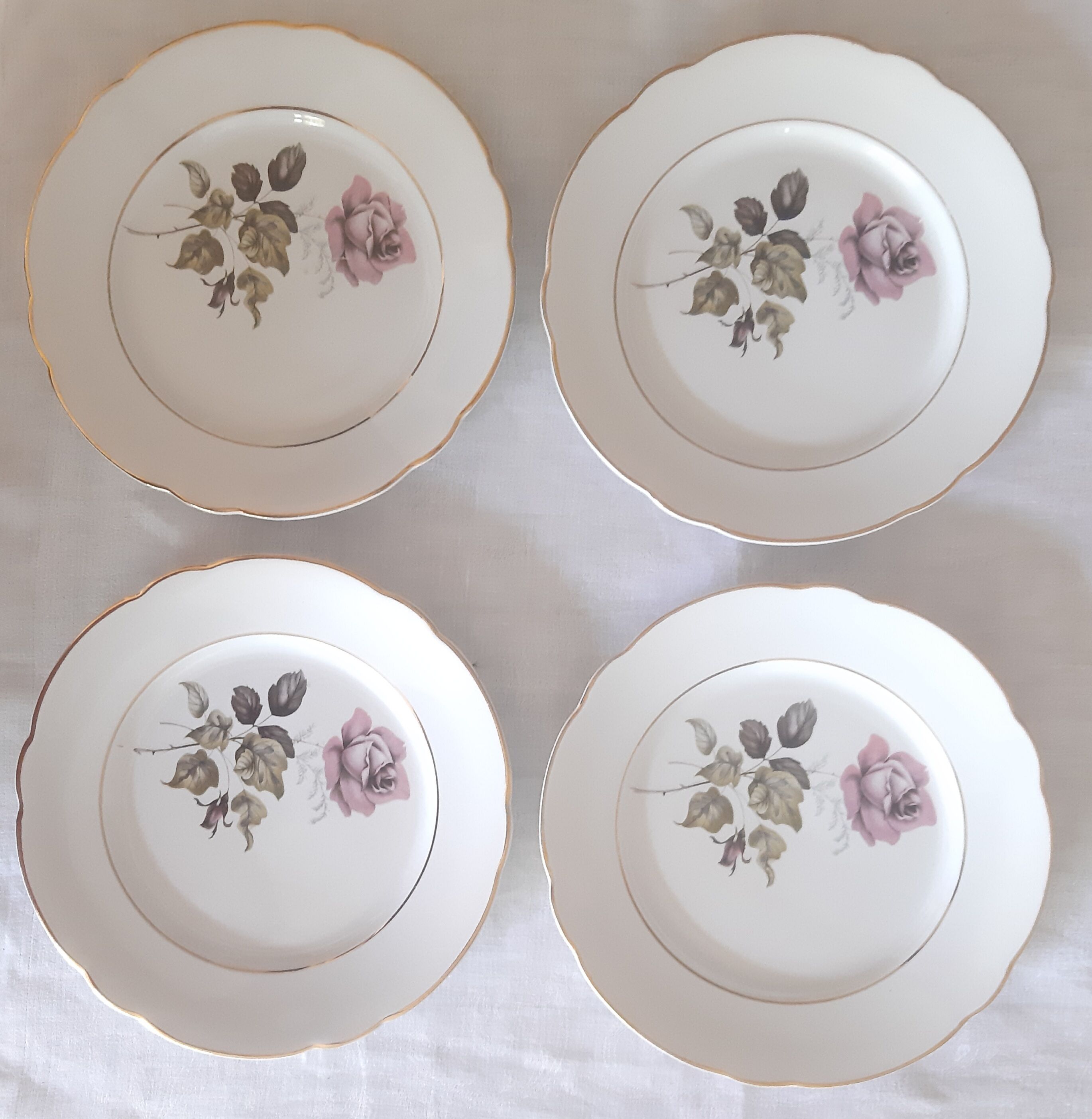 Flat plates Lunéville Badonvillier