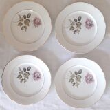 Flat plates Lunéville Badonvillier