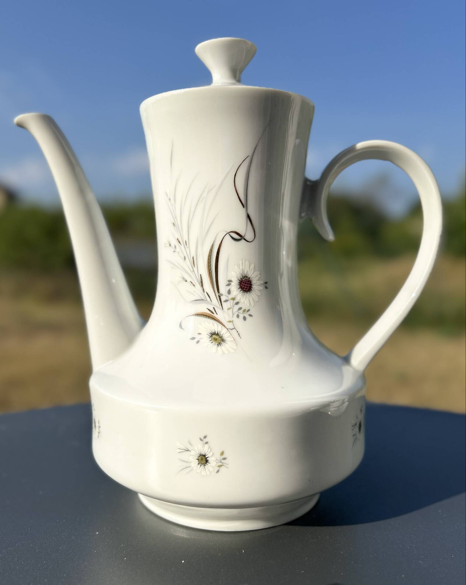 Bavaria porcelain coffee service – Eliane from Vercors – 20 pieces