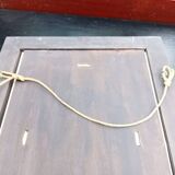 Botanical plate by Redouté