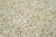 Handmade Decorative Oriental Beige Rug 166 cm x 282 cm