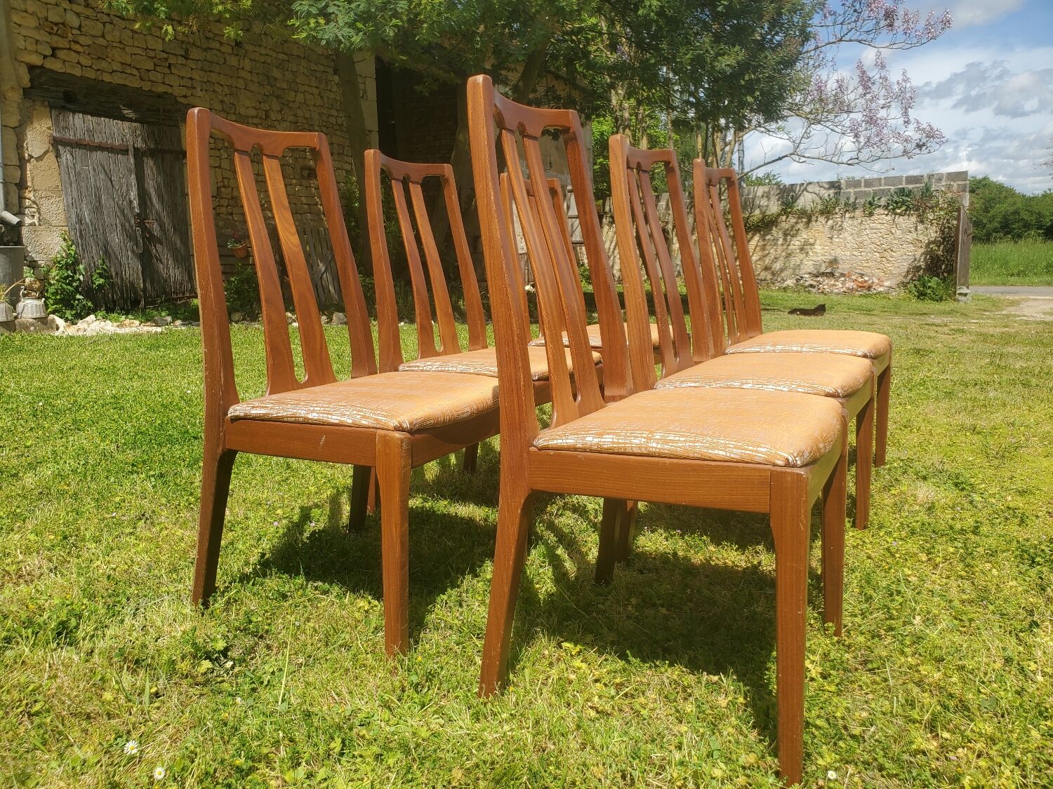 Nathan mid century chairs