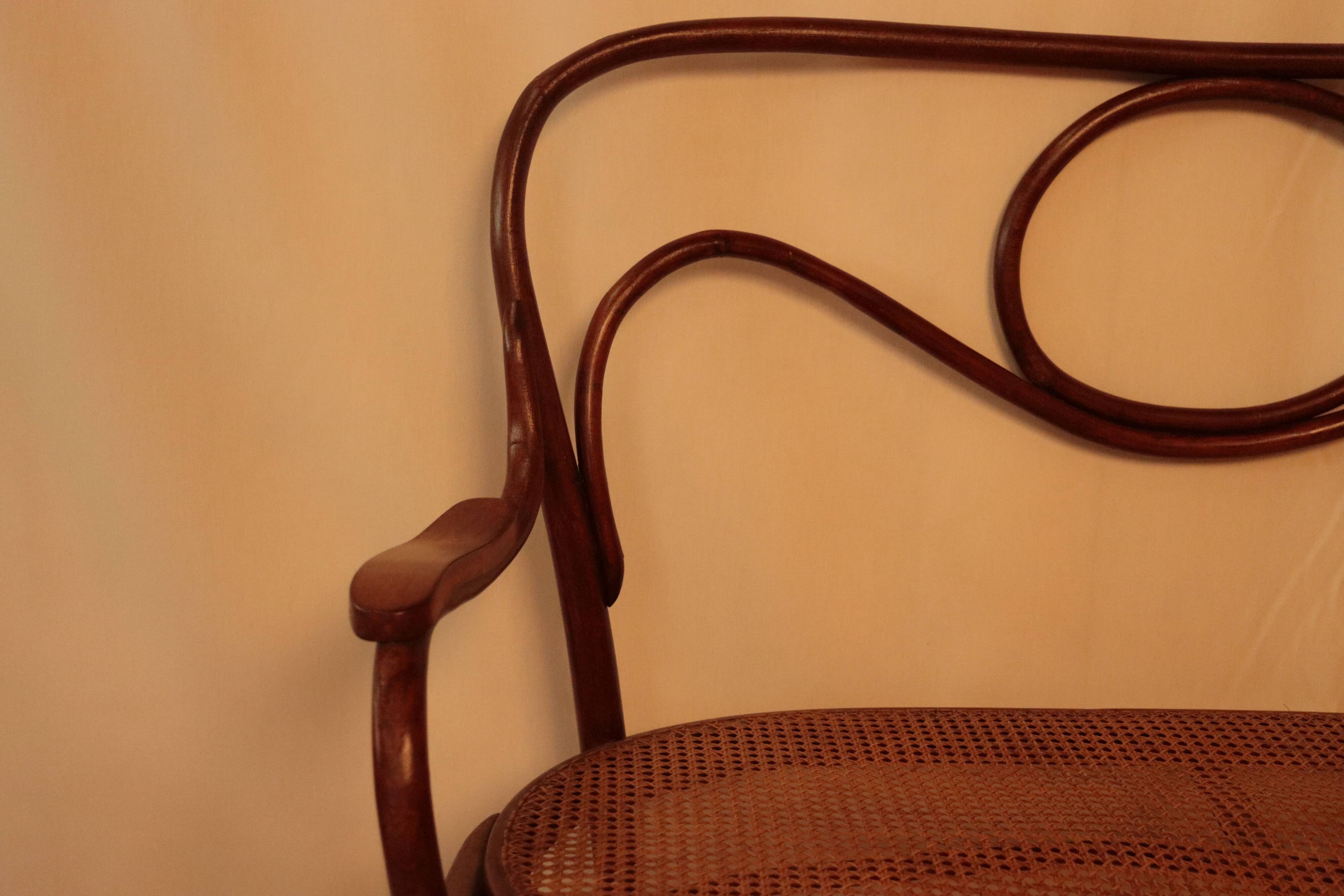 Bench n°18 curved wood