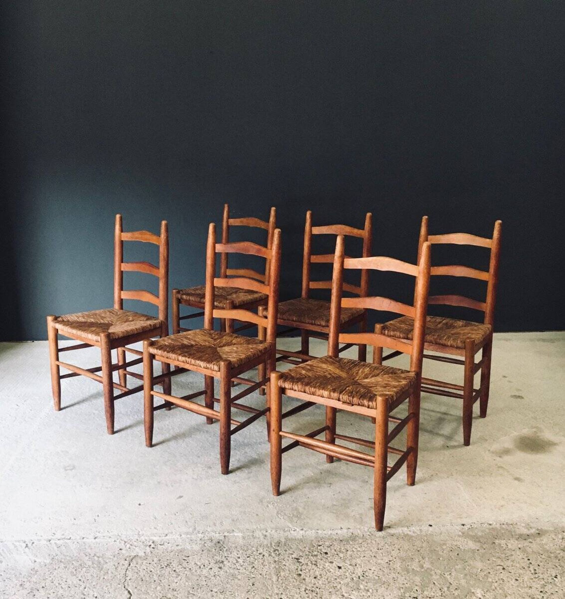 Low rustic ladder back dining chairs in oak and rush, Belgium, 1950s, set of 6.