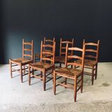 Low rustic ladder back dining chairs in oak and rush, Belgium, 1950s, set of 6.