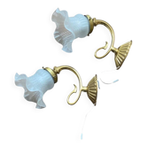 Pair of antique wall sconces with swan neck in brass, glass tulip.