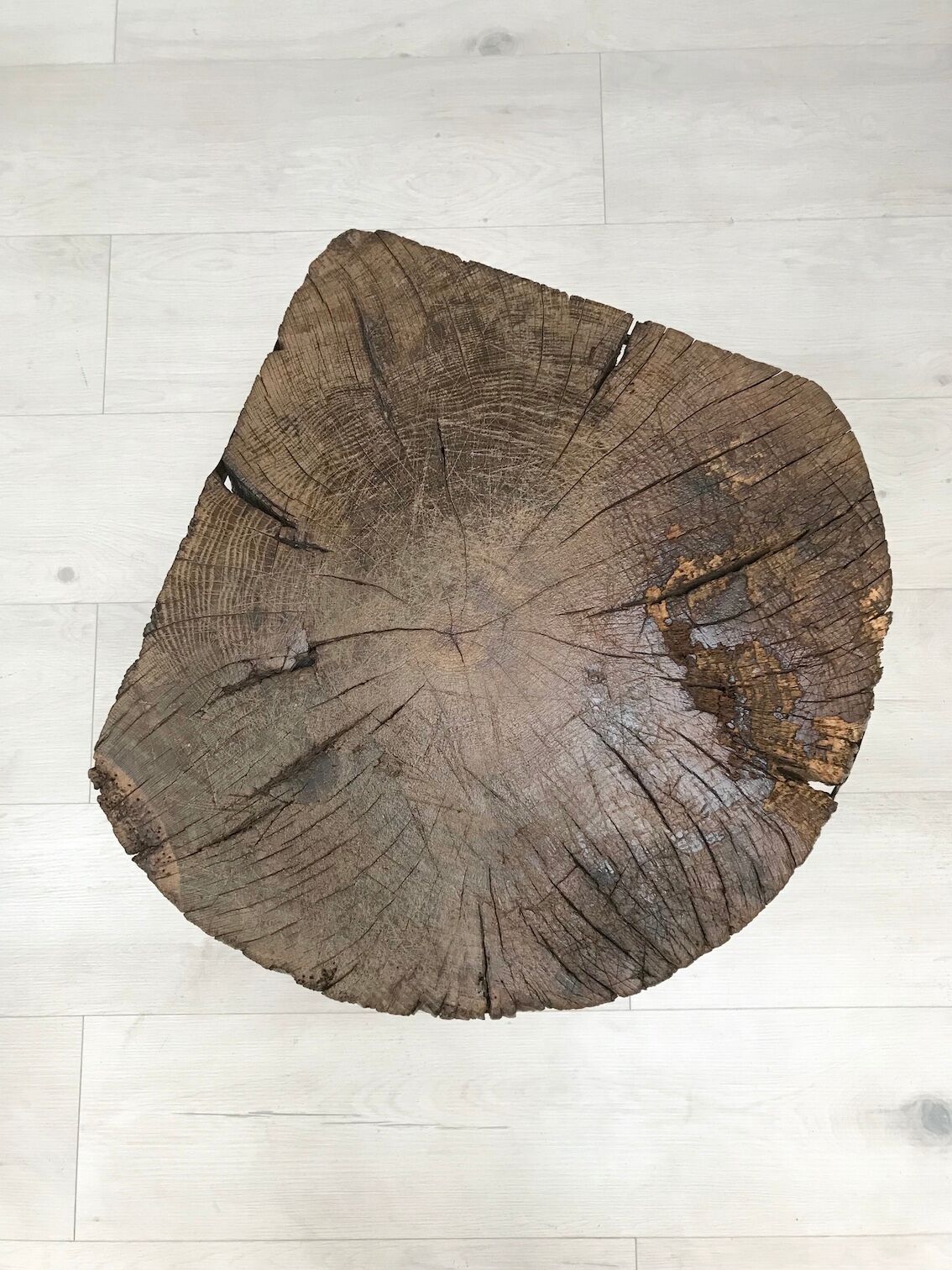 Primitive raw wood bill