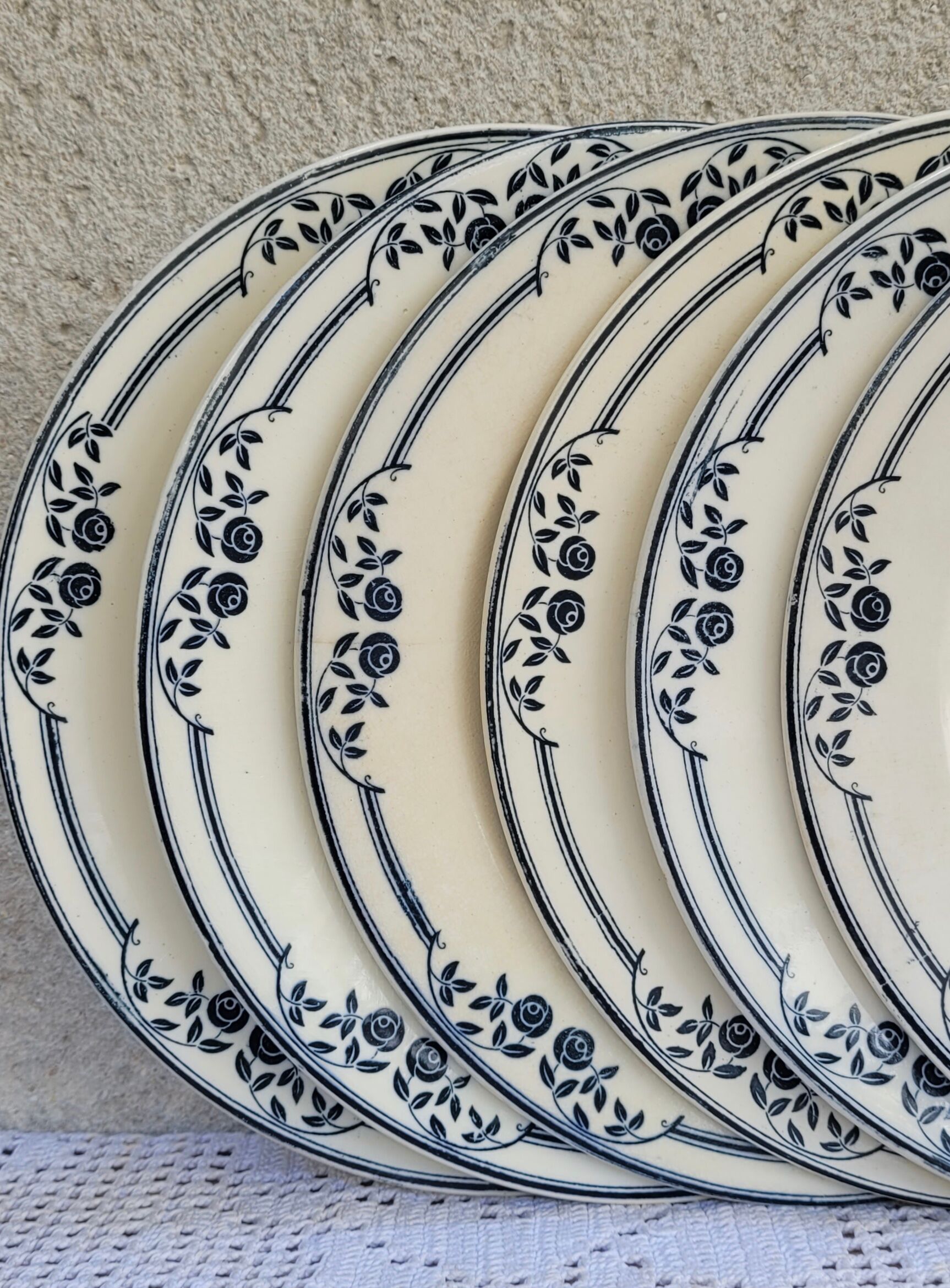 Set of 6 flat plates Salins Model Saussure A.B. Iron Earth