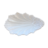 Empty white shell pocket