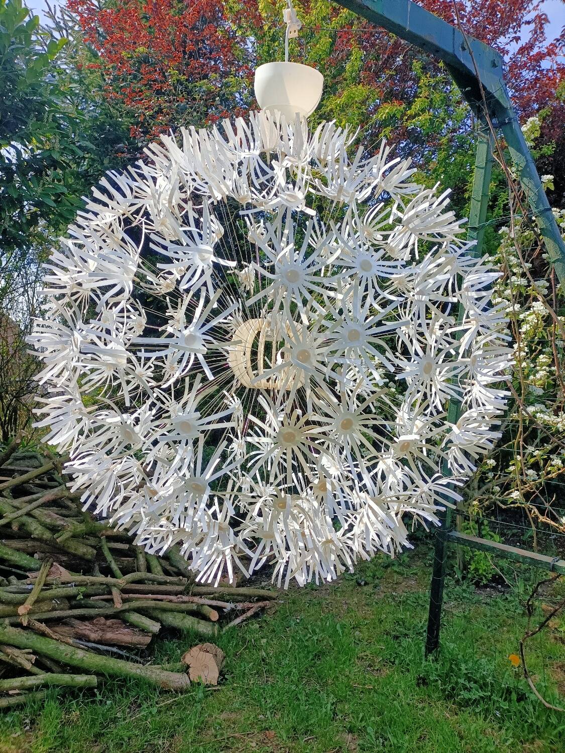 Dandelion pendant light