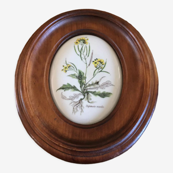 Wooden frame composed of a central piece of porcelain with floral motifs "Diplotaxis muralis"